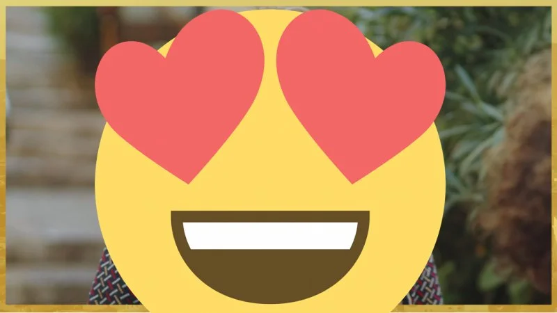 Coup de coeur : Le grand retour d'un de nos mistraliens préférés